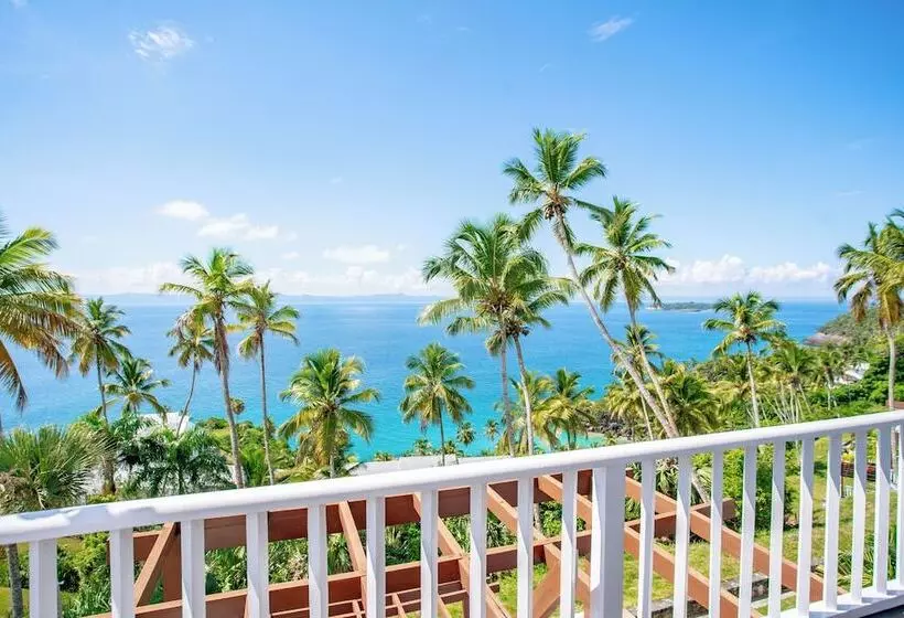 Xeliter Vista Mare, Samana