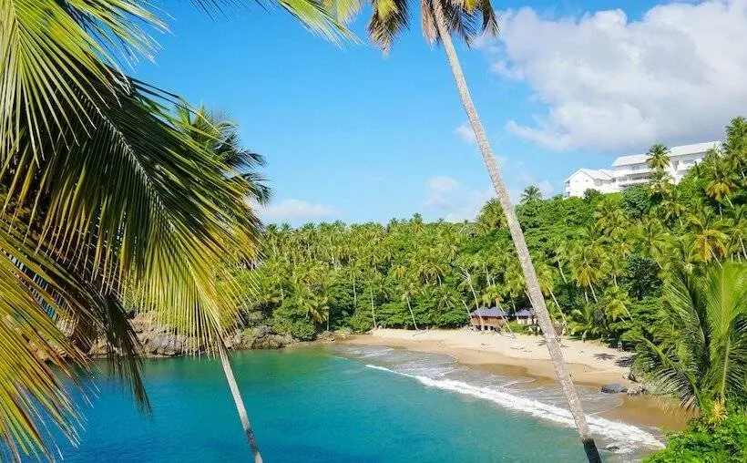 Xeliter Vista Mare, Samana