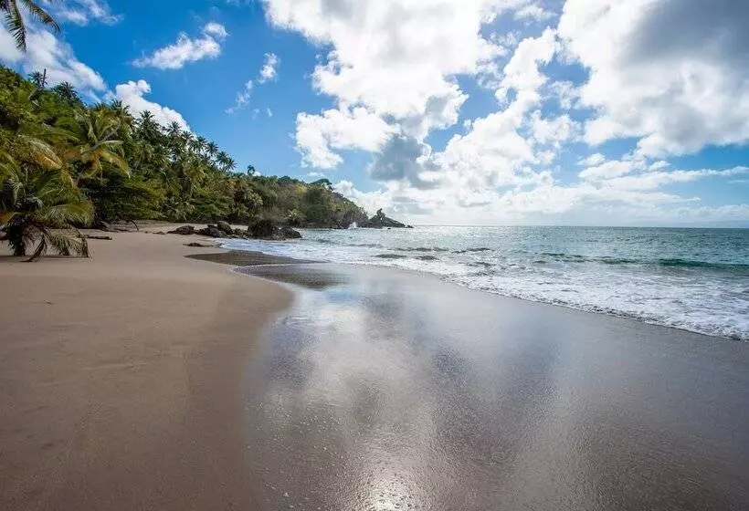 Xeliter Vista Mare, Samana