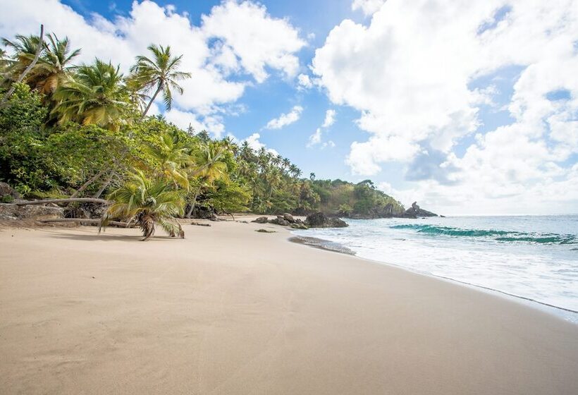 Xeliter Vista Mare, Samana