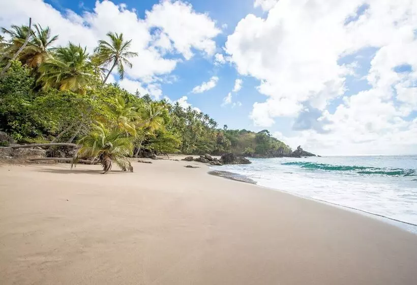 Xeliter Vista Mare, Samana