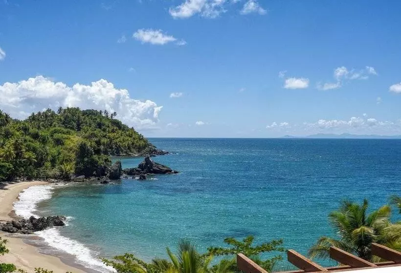 Xeliter Vista Mare, Samana