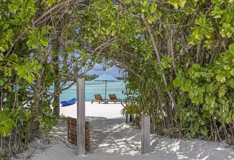 호텔 Naladhu Private Island Maldives