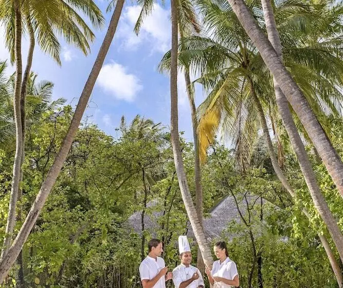 호텔 Naladhu Private Island Maldives