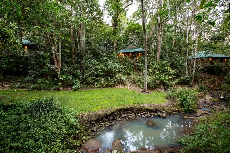 Narrows Escape Rainforest Retreat