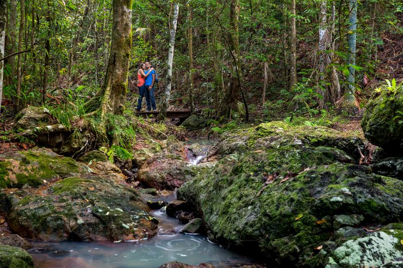 Narrows Escape Rainforest Retreat