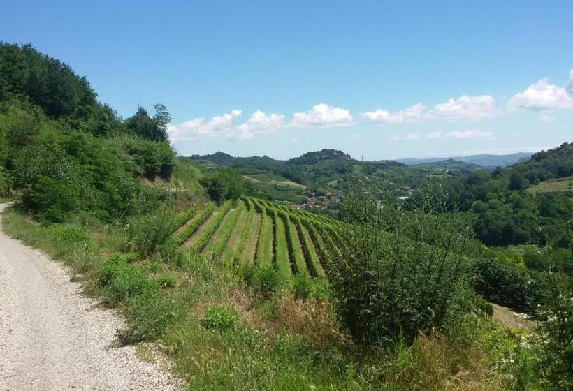 Bed and Breakfast La Collina Dei Passeri