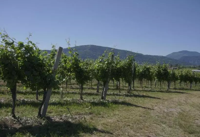 B&b Corte Sant Angelo