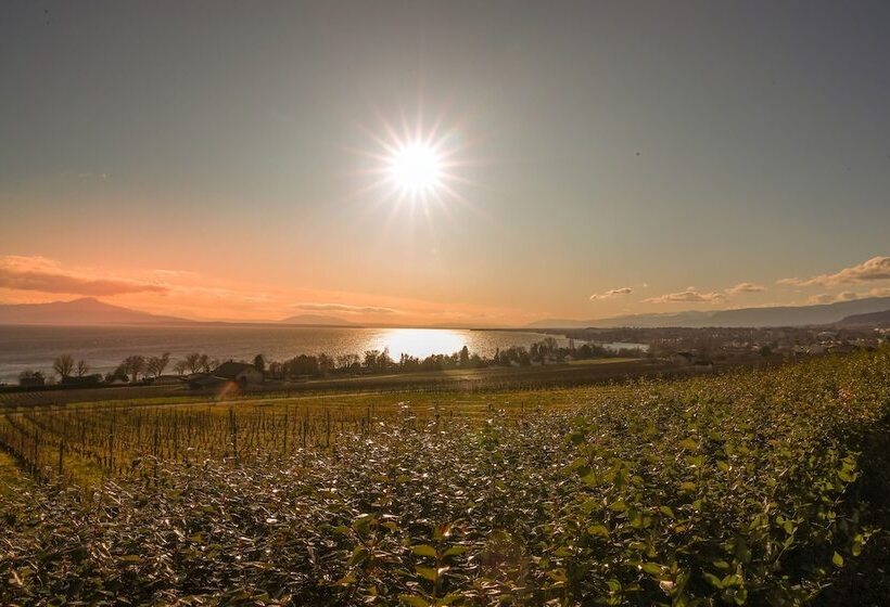 Bed and Breakfast Casa Vinitoscani