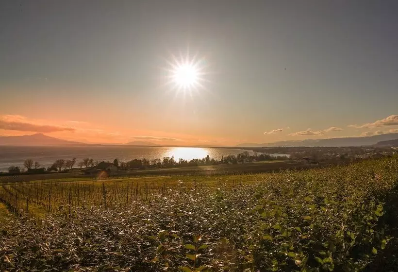 Aamiaismajoitus (B&B) Casa Vinitoscani