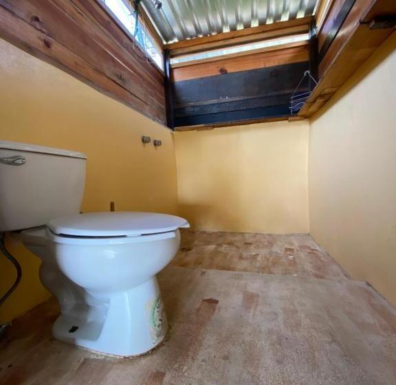 Общежитие Chaak