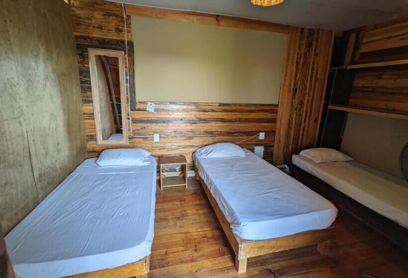 Общежитие Chaak