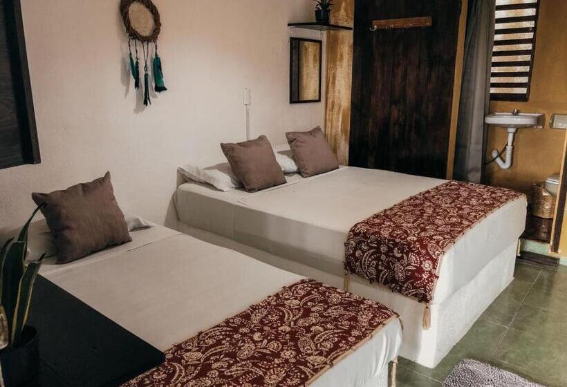 Общежитие Chaak