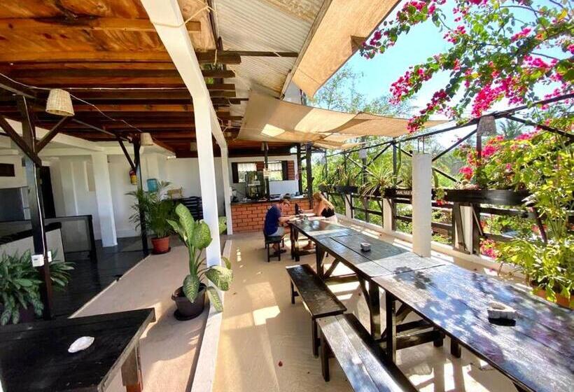 Общежитие Chaak