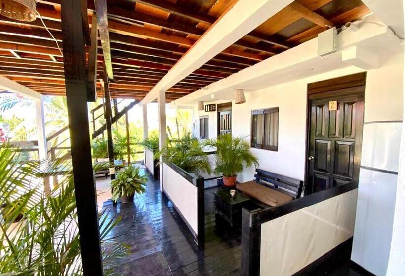 Общежитие Chaak