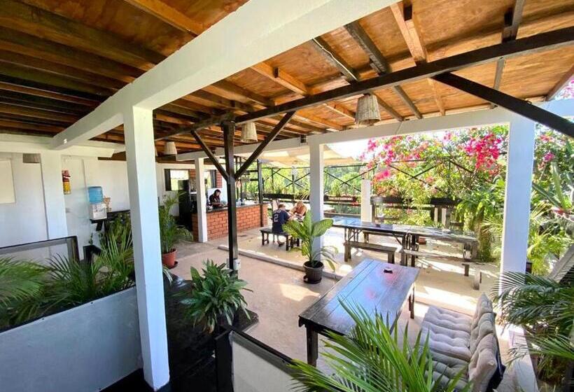 Общежитие Chaak