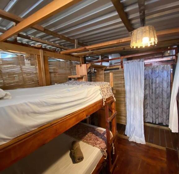 Общежитие Chaak