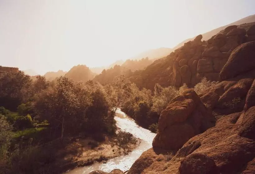 Majatalo Monkey Fingers House By Fatima Mellal