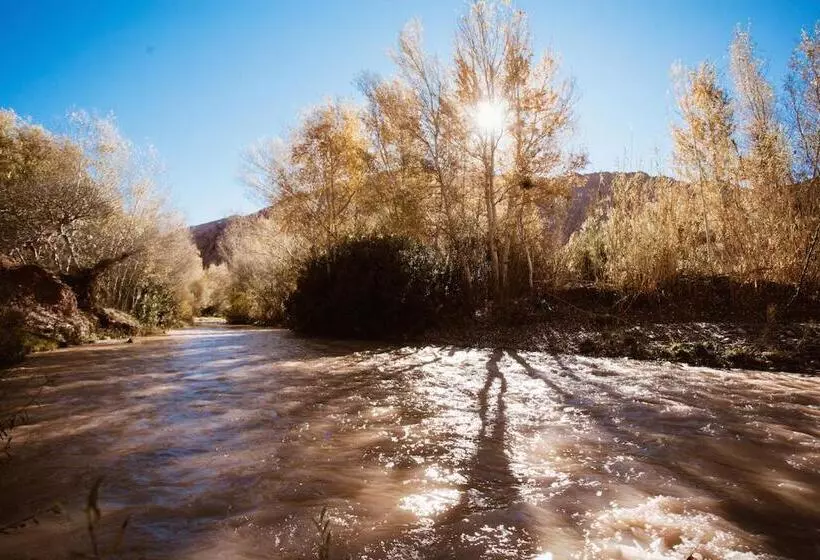 Majatalo Monkey Fingers House By Fatima Mellal