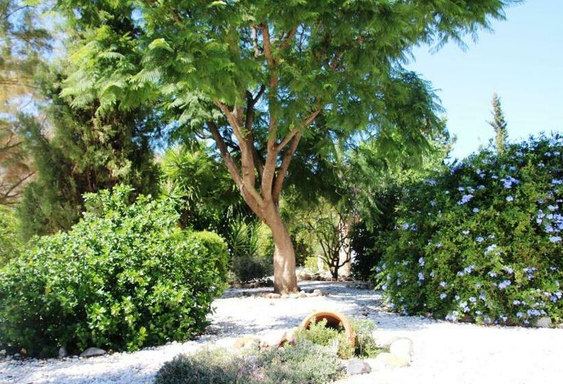 住宿加早餐 Finca El Limonar