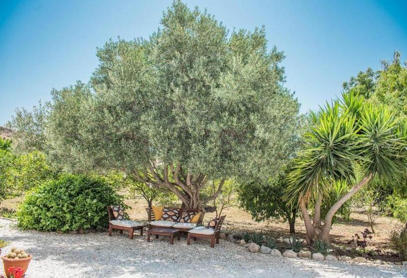 住宿加早餐 Finca El Limonar