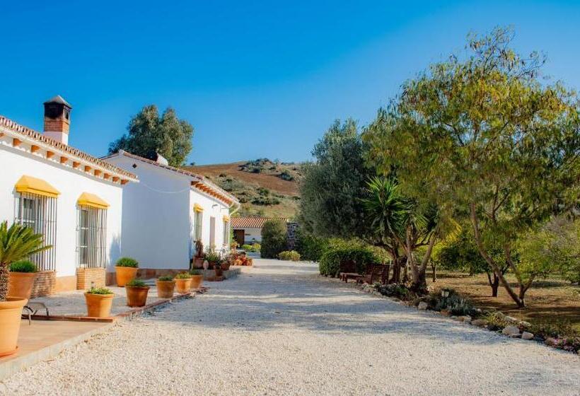 住宿加早餐 Finca El Limonar