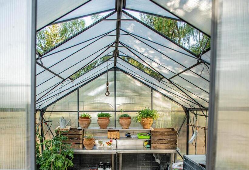 住宿加早餐 Finca El Limonar