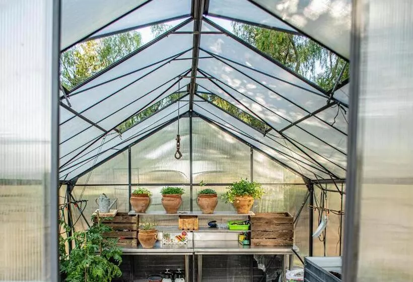 Aamiaismajoitus (B&B) Finca El Limonar