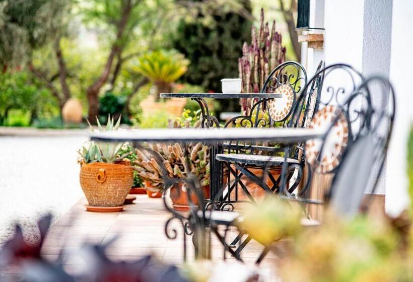 住宿加早餐 Finca El Limonar