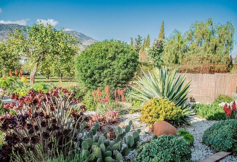 住宿加早餐 Finca El Limonar