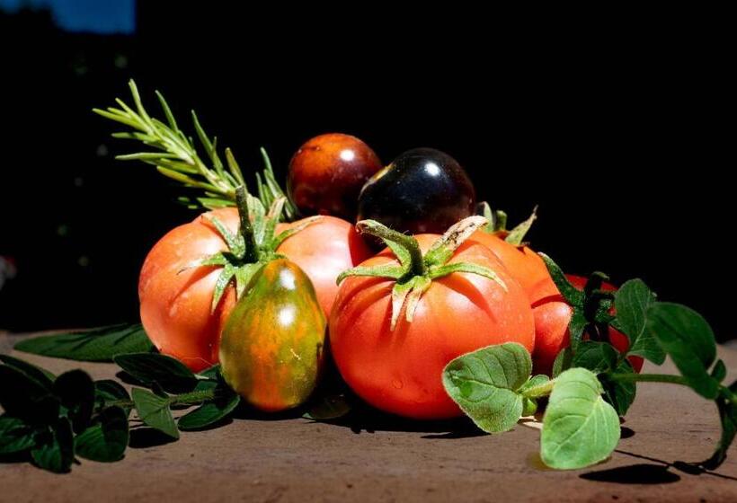 住宿加早餐 Finca El Limonar