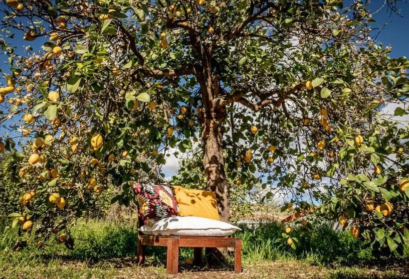 Aamiaismajoitus (B&B) Finca El Limonar