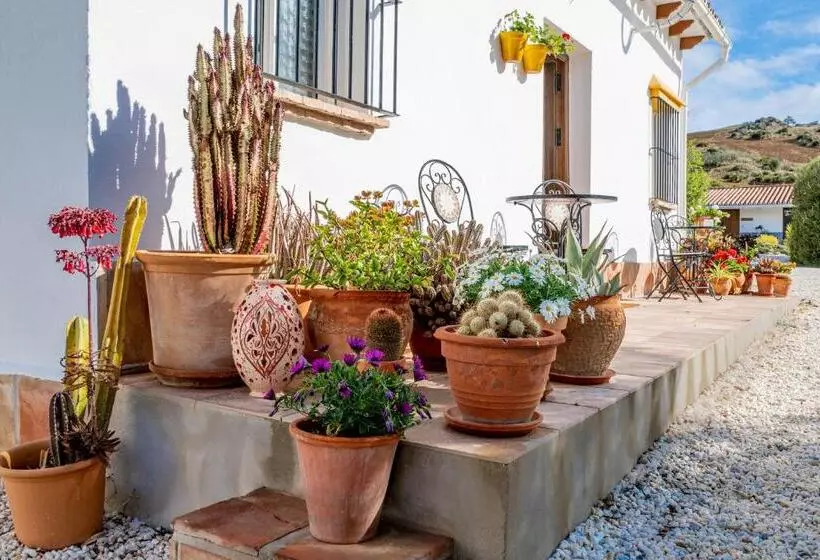 Aamiaismajoitus (B&B) Finca El Limonar