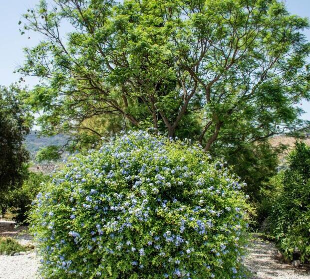 住宿加早餐 Finca El Limonar