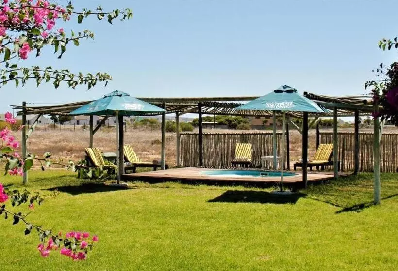 تختخواب و صبحانه Tortoise Trail Lodge
