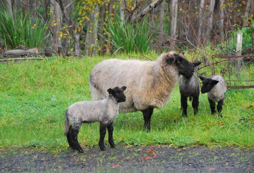 酒店 Back Valley Farmstay Bed And Breakfast