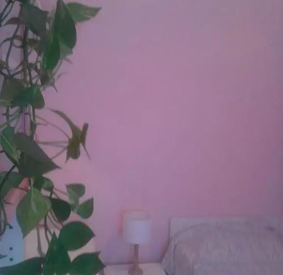 پانسیون Central Art House