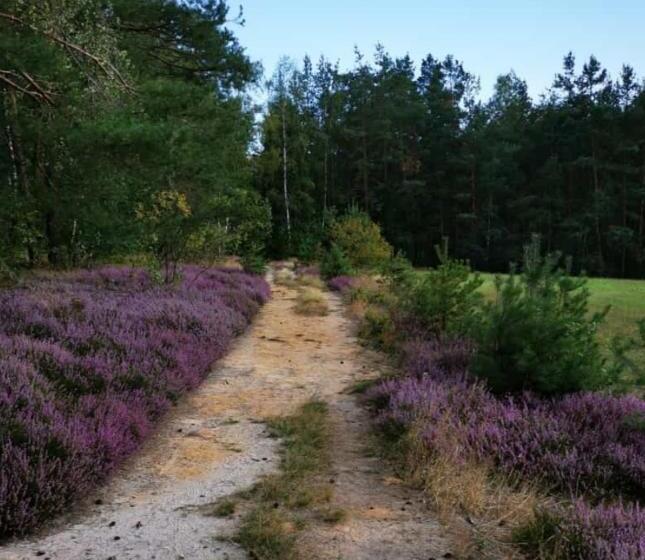 Pensionat Lichtenhainer Hof