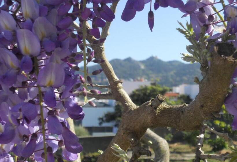 تختخواب و صبحانه Galo Preto   Sintra Guesthouse