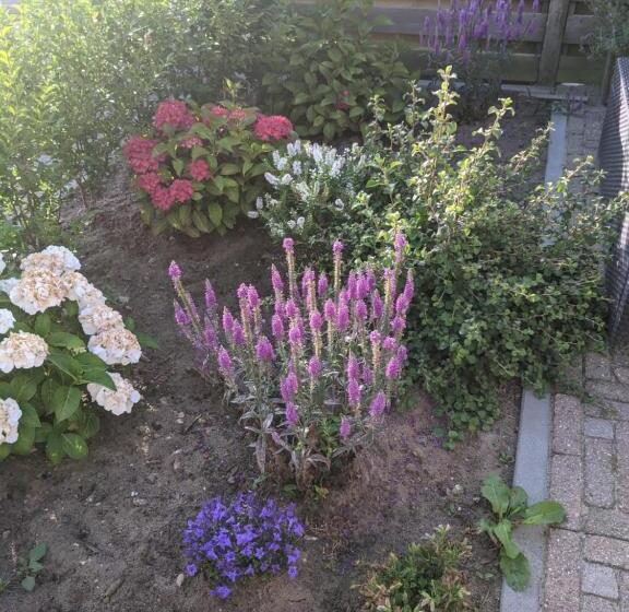 مبيت وإفطار Logies21 Texel