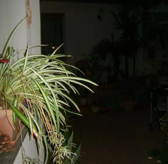تختخواب و صبحانه Mauripe