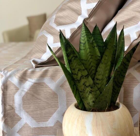 Bed and Breakfast Montellinos Suite Tortora