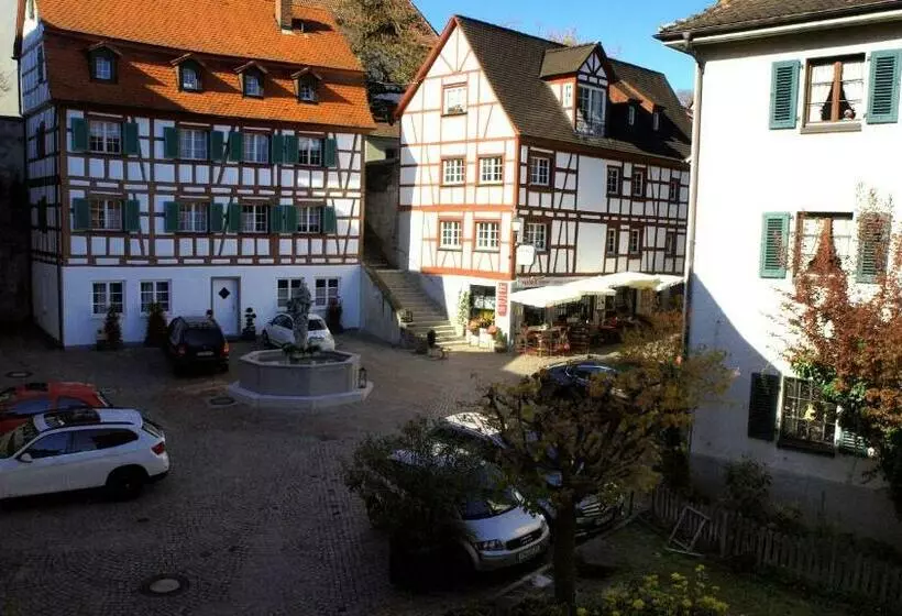 Majatalo Gaestehaus Seliger