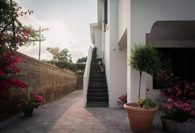 Aamiaismajoitus (B&B) L Agrumeto