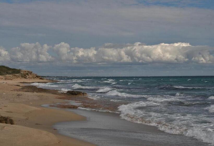 تختخواب و صبحانه Vacanze In Puglia