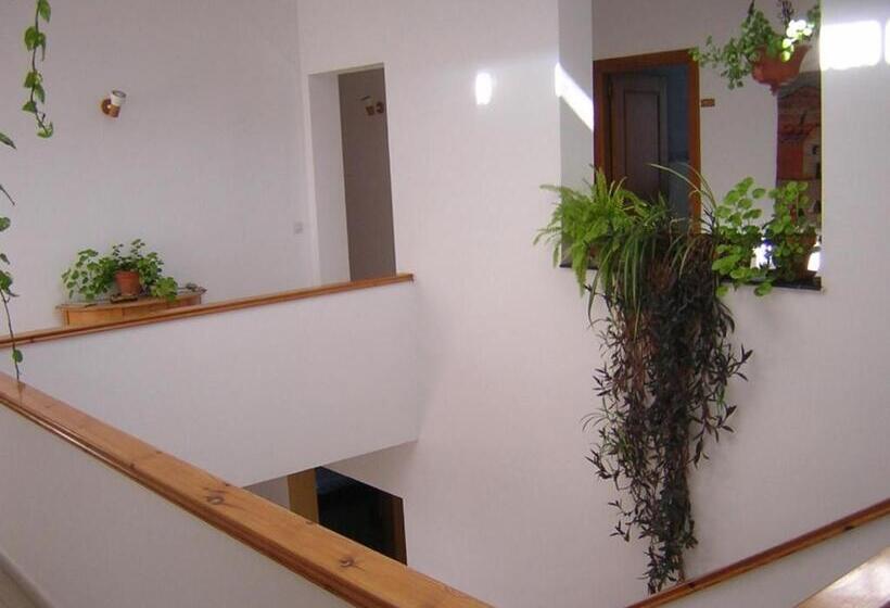 Bed and Breakfast Casa Algaida