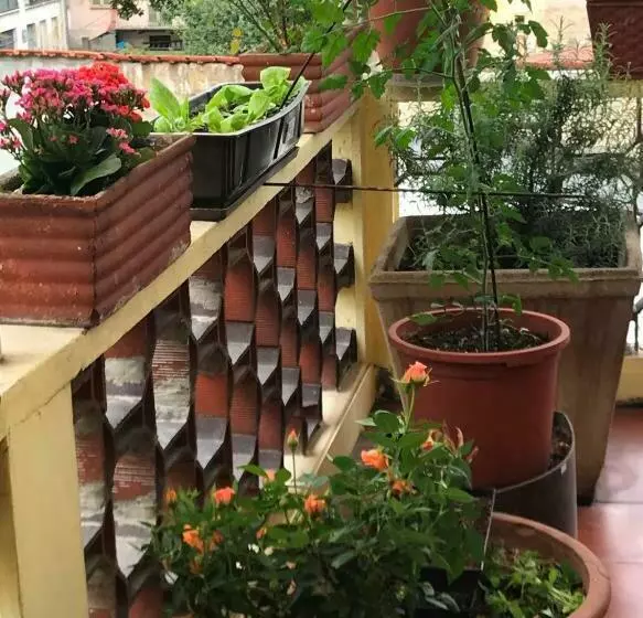 ベッドアンドブレックファースト Casa Di Nonna