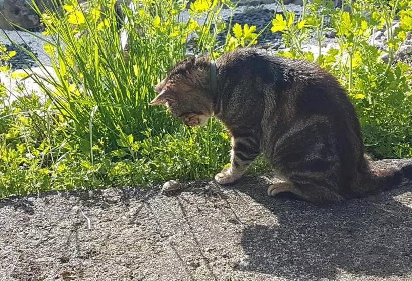 Bed & Breakfast Chambres D Hôtes Chez Valérie
