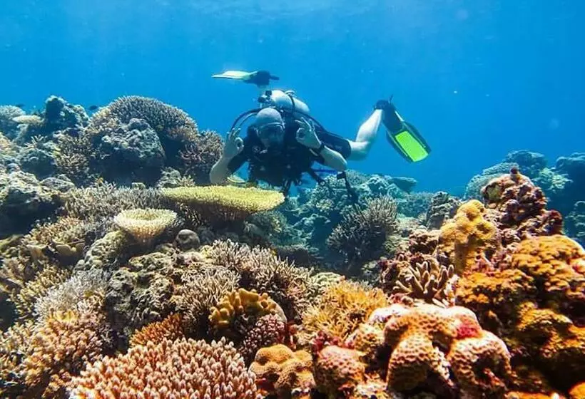 Maleo Moyo  & Dive Resort