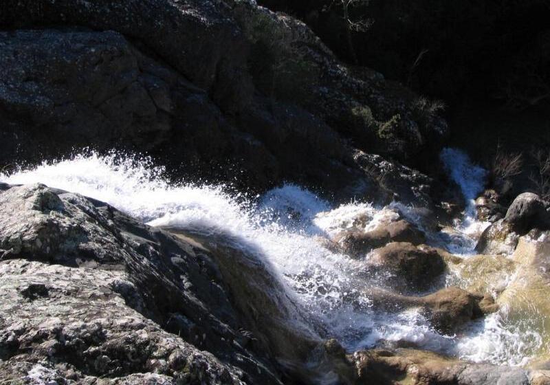 פנסיון Camere La Torre